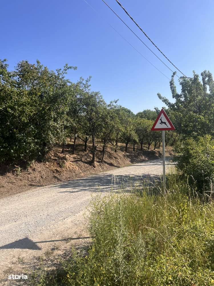 Teren intravilan ideal pentru parcelare și construcții rezidențiale - Imagine principală: 4/9
