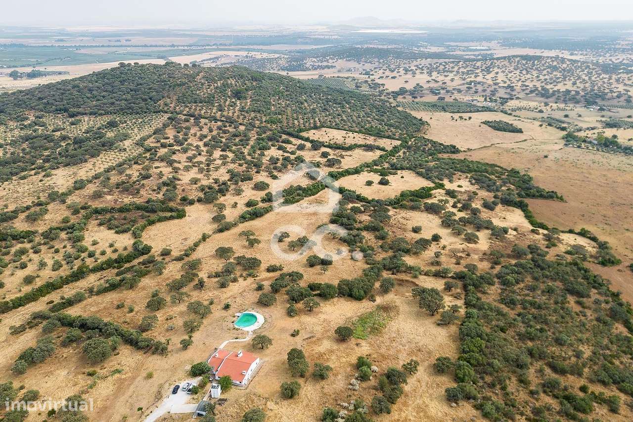 Herdade de 41 ha c/ Moradia T3+1  e Piscina | Elvas - Grande imagem: 4/60