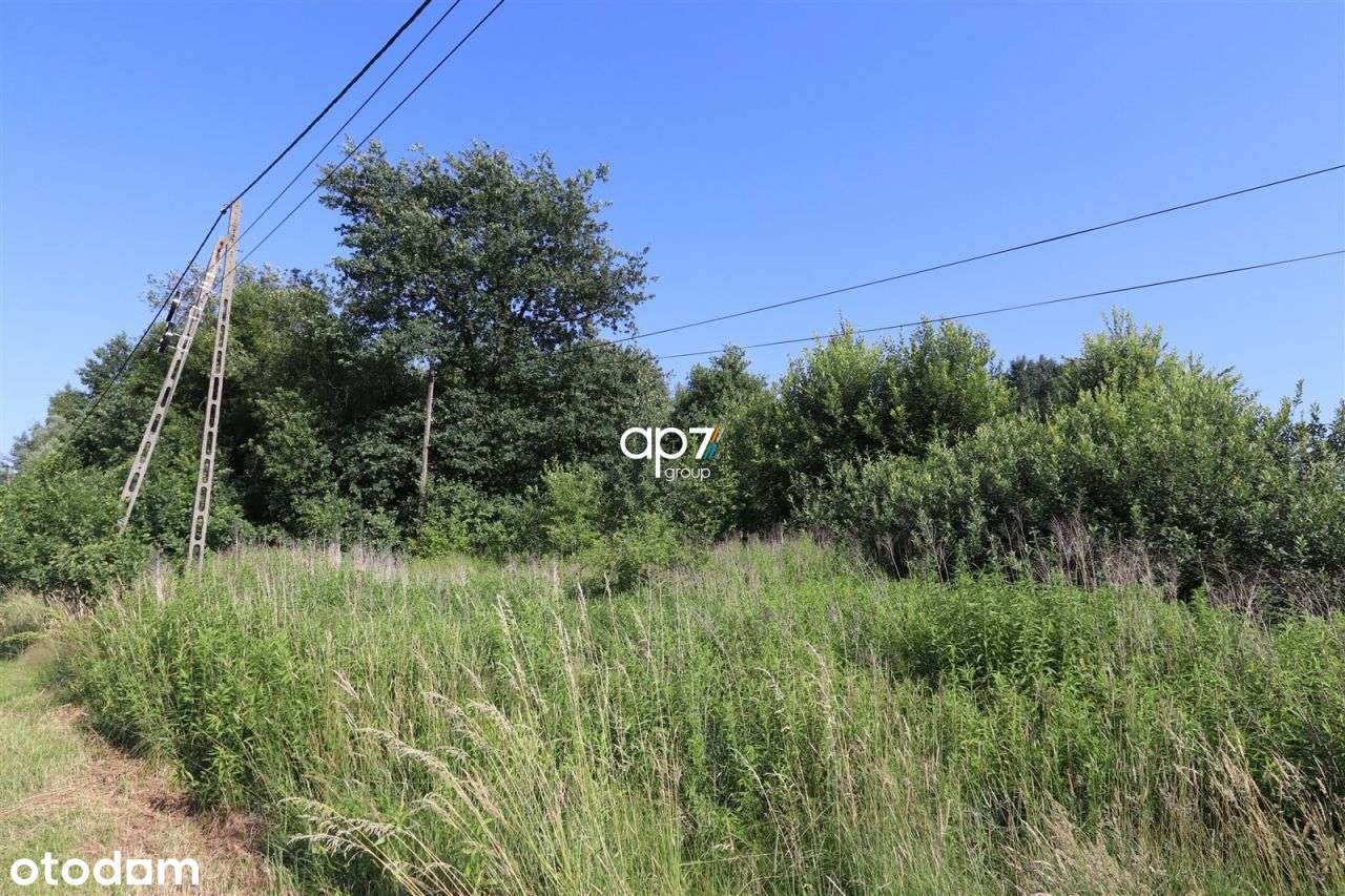 Działka, 12 194 m², Bodzanów - Pełny obrazek: 4/4