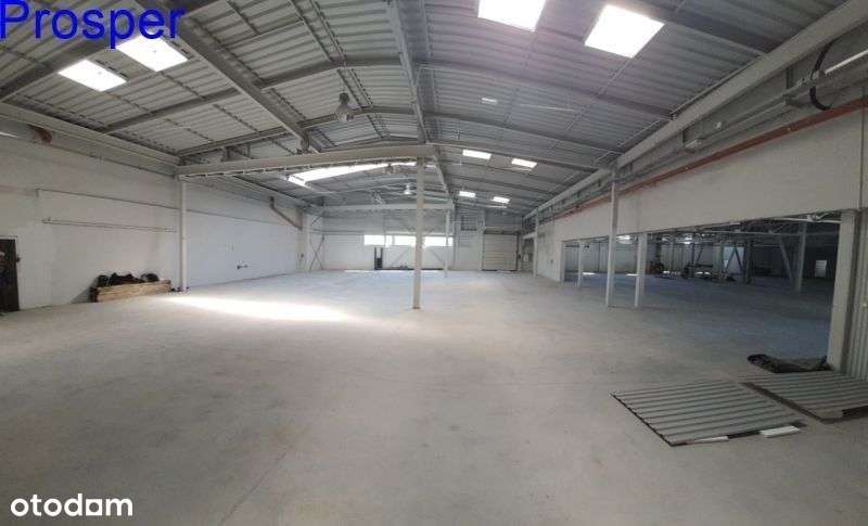 h=3,80m-4,2m posadzka niepylna, bramy 0 - Pełny obrazek: 2/10