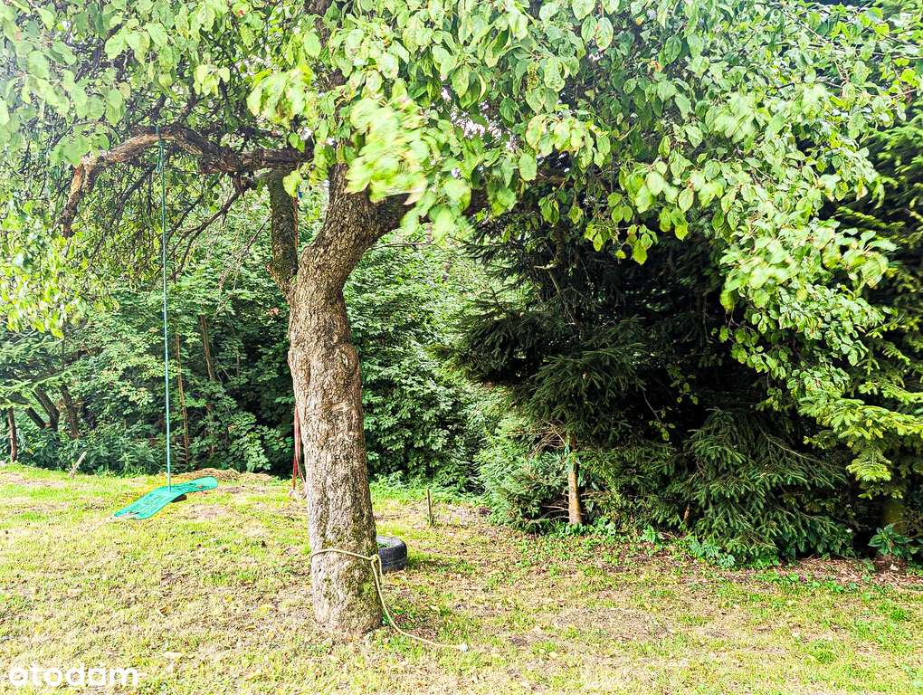 25/13782/ODS - Pełny obrazek: 5/15