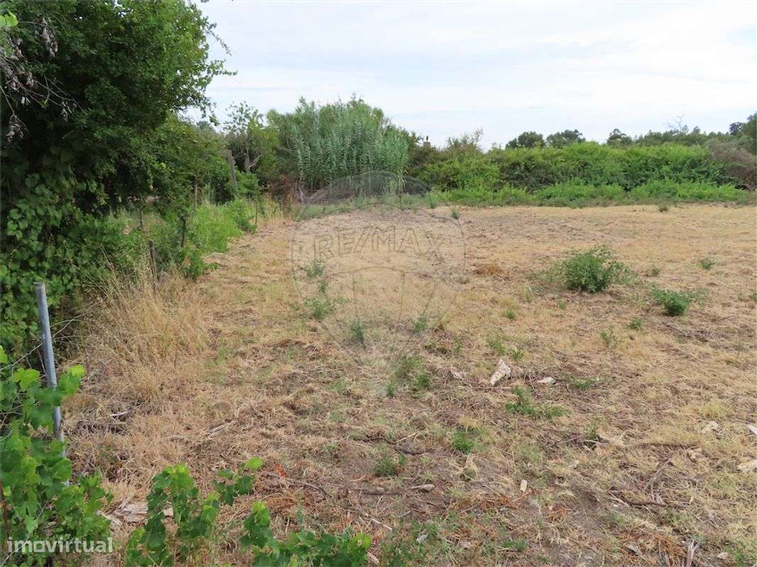 Quinta  para venda - Grande imagem: 5/18