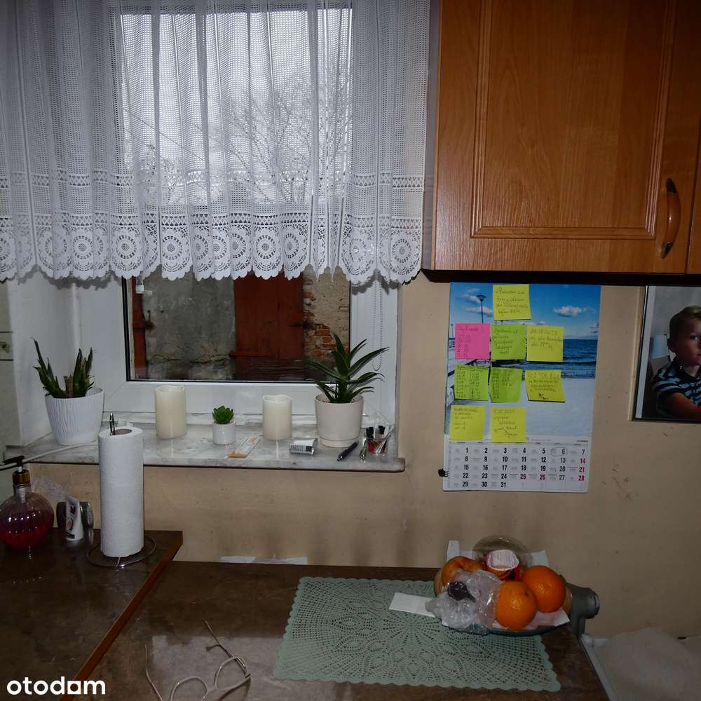 Maly dom w Bydgoszczy-15