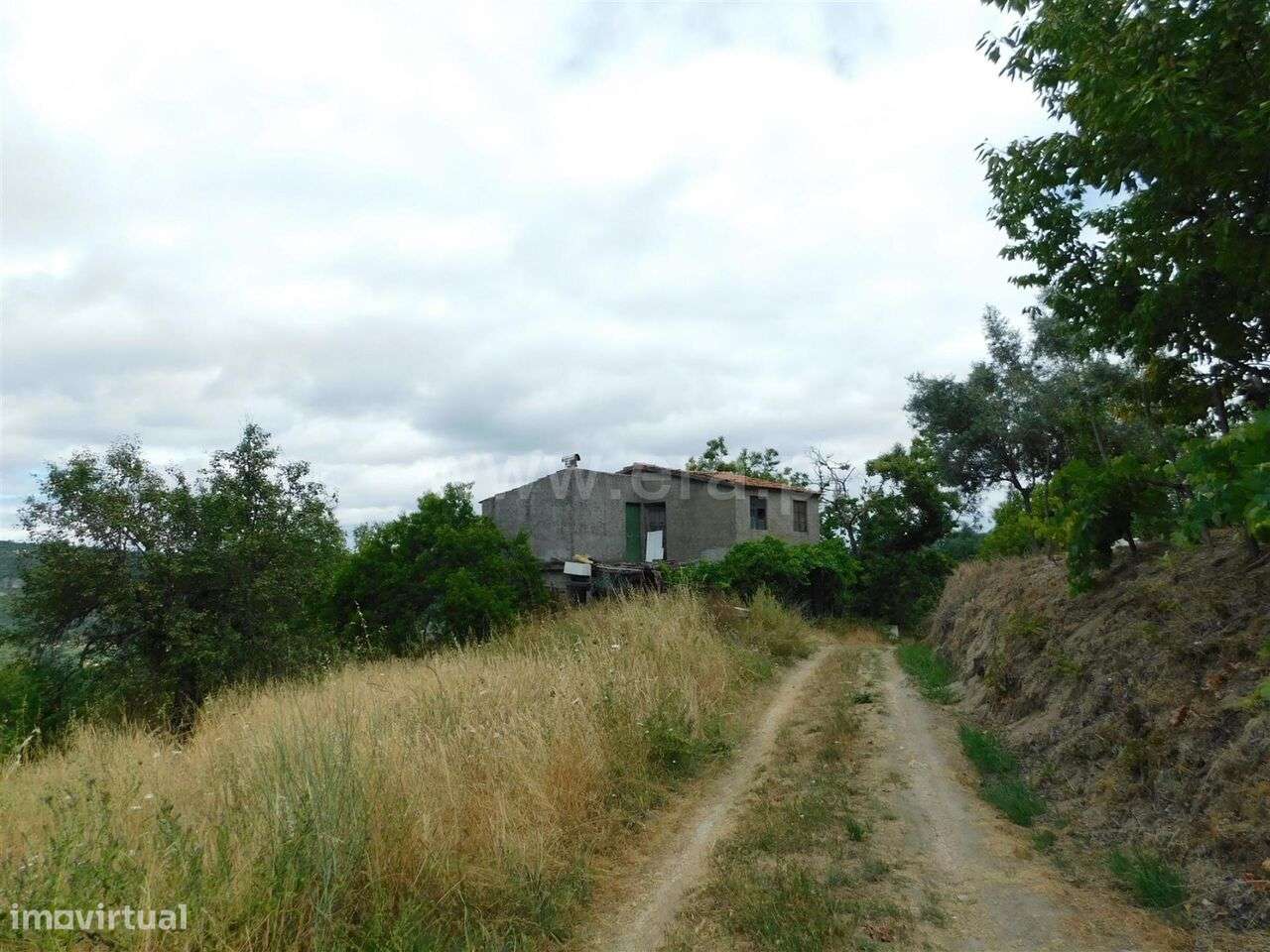 Quinta / Seia, Sandomil - Grande imagem: 5/20