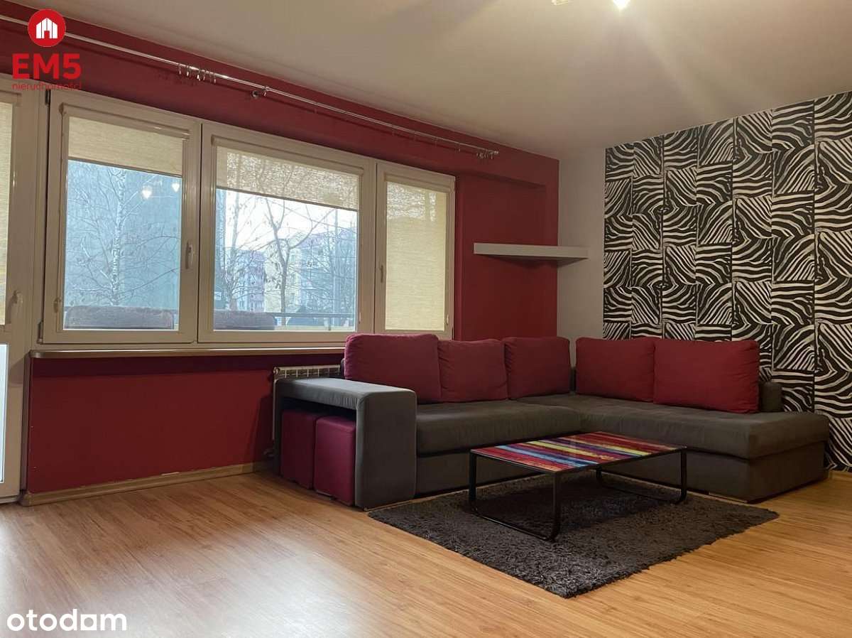 2 pokoje, parter, Nowe Miasto, - Pełny obrazek: 2/10