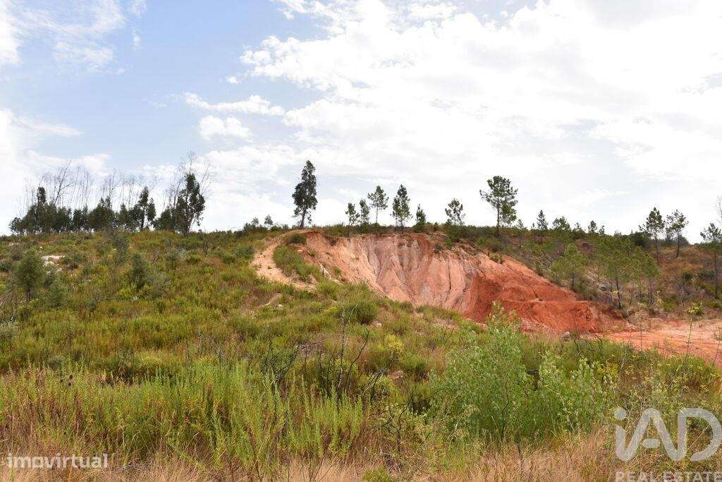 Terreno em Areias e Pias de 3240,00 m2 - Grande imagem: 5/18