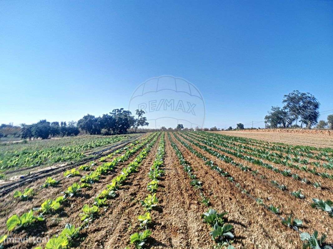 Quinta  para venda-30