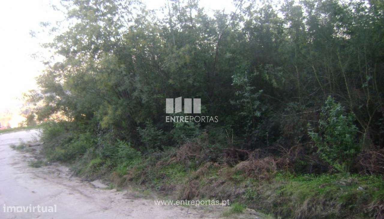 Venda Terreno, Maureles, Marco de Canaveses - Grande imagem: 4/5