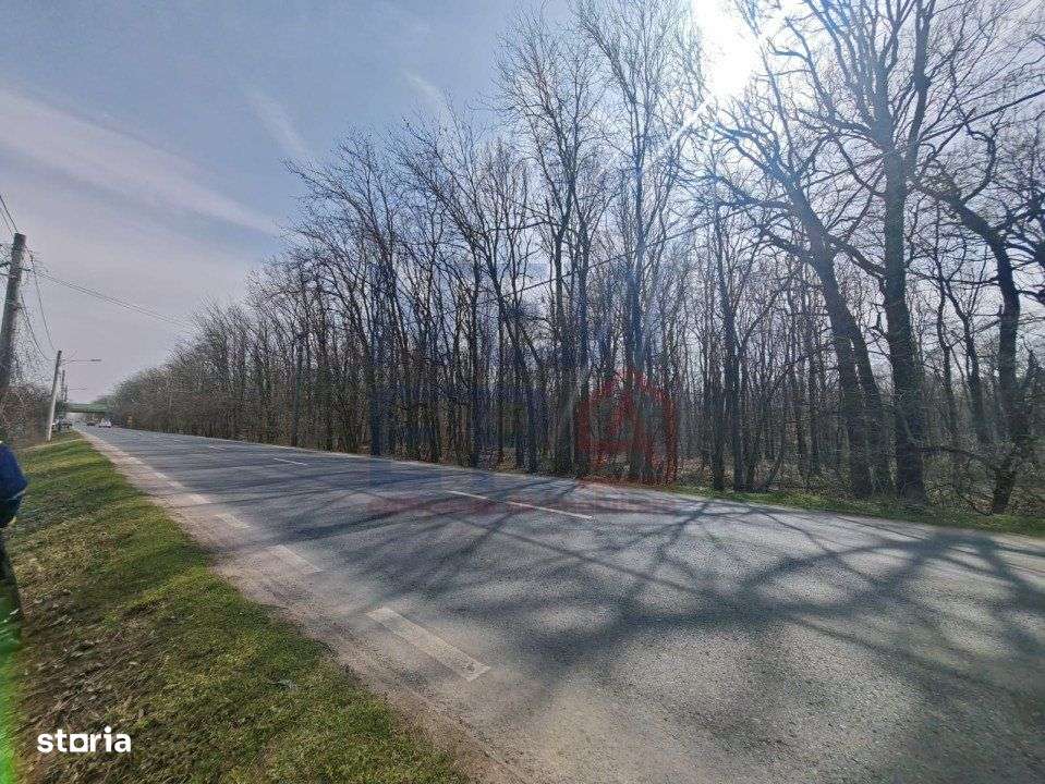 OPORTUNITATE -Teren de Vis la Marginea Padurii – 5000 mp in Ciorogar - Imagine principală: 5/7