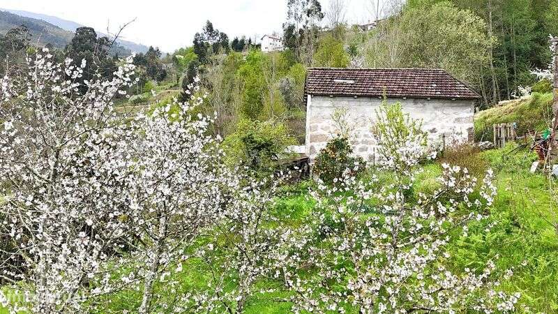 Quintinha / Cinfães, Santiago de Piães - Grande imagem: 3/17