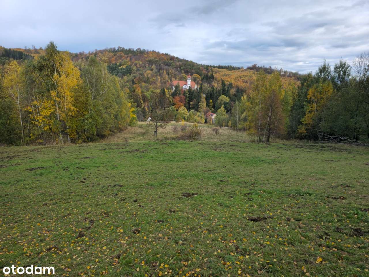 4 Działki przy lesie z widokiem na Góry Sowie-19