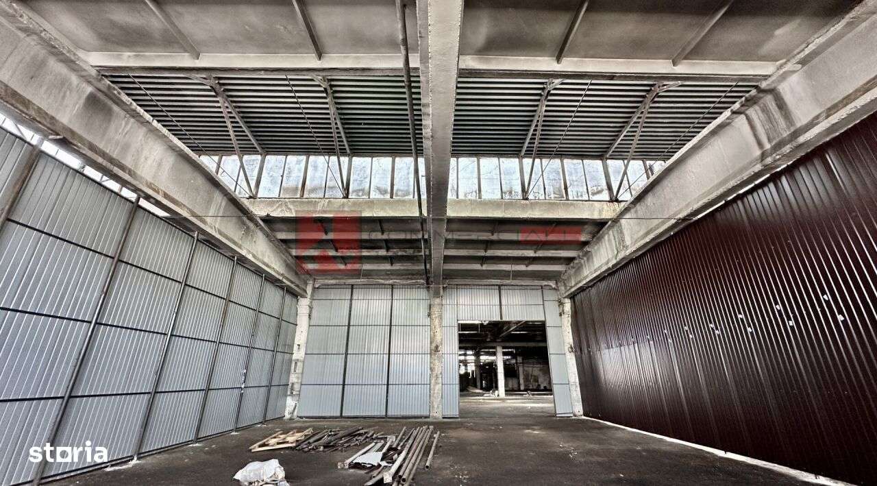 HALA 240 MP - PRET ATRACTIV - ACCES FACIL - CODLEA - Imagine principală: 5/8