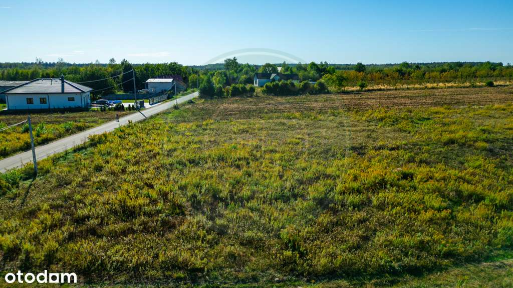 13/15968/OGS - Pełny obrazek: 4/14