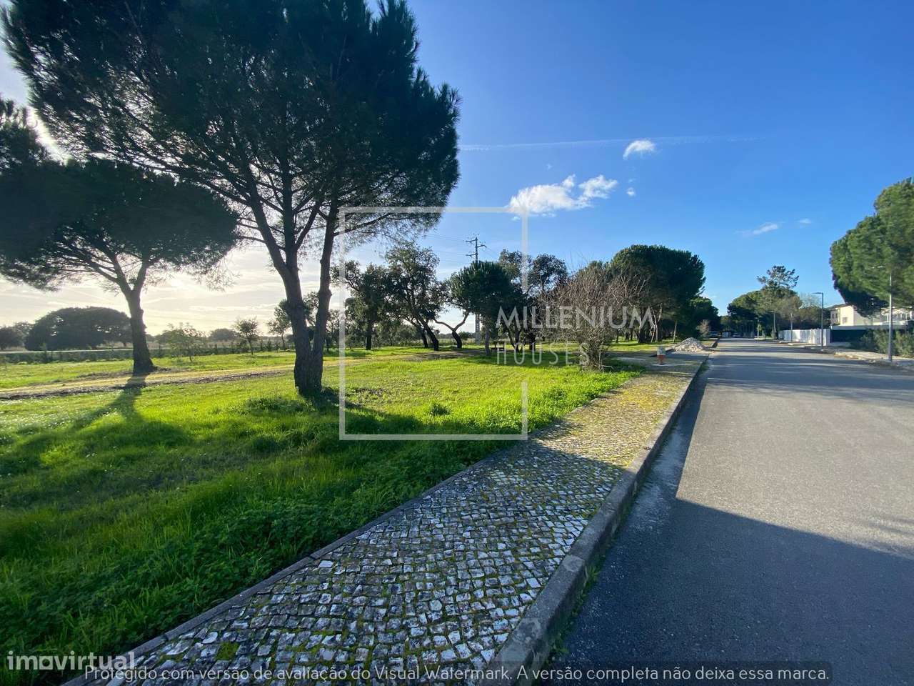 Terreno | Projeto Aprovado | Vila Nova de Santo Estevão-6