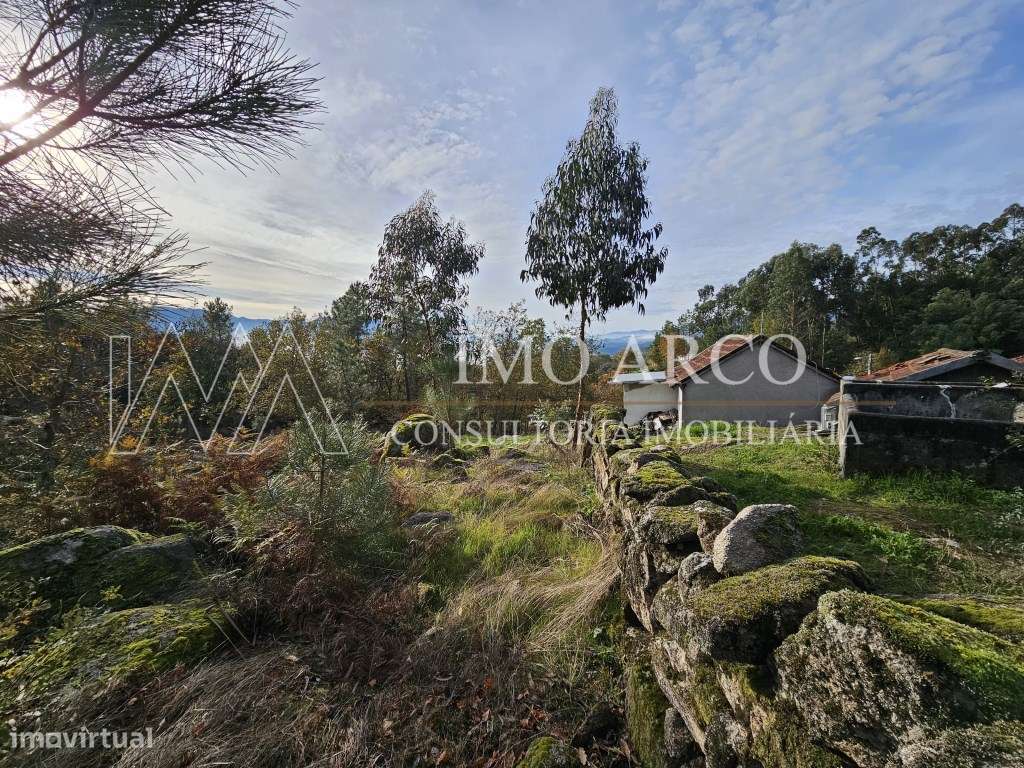 Terreno, Olival de Meanhos-10