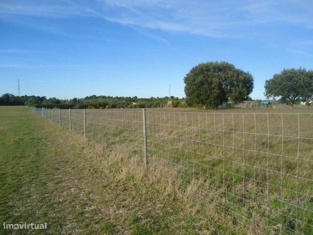 Palmela Terreno rústico com 6150 m2 vedado. - Grande imagem: 3/8