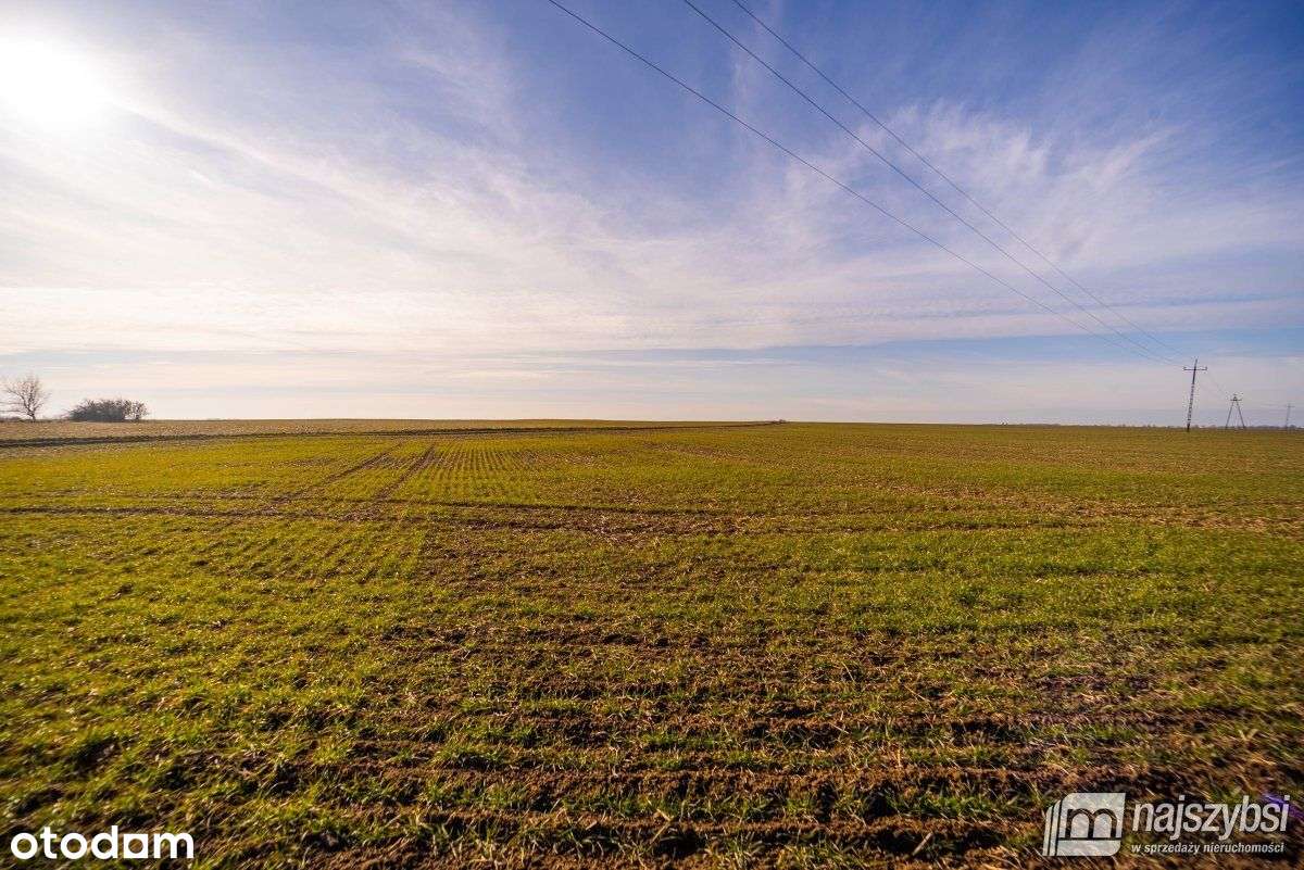 Kurcewo - działka 3.600 m2 z warunkami zabudowy - Pełny obrazek: 5/12