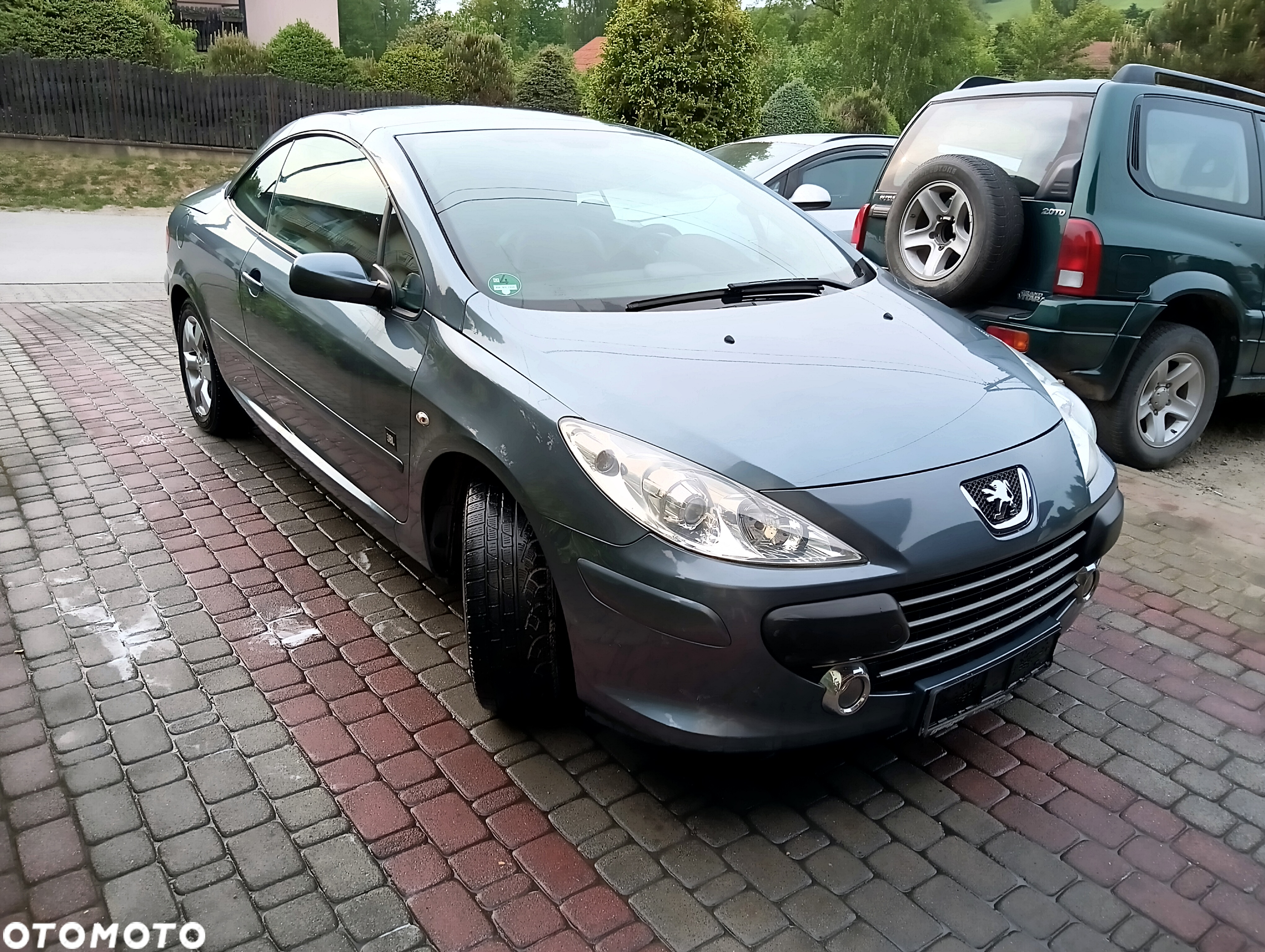 Peugeot 307 CC 110 JBL - 17