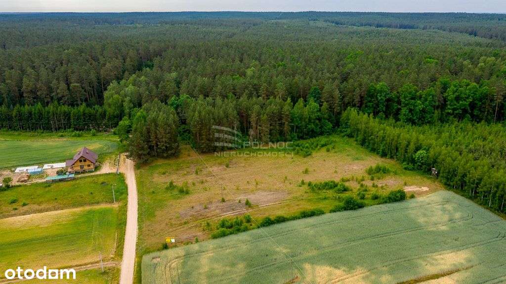 Zaciszna działka 3198 m2 blisko lasu! - Pełny obrazek: 5/20