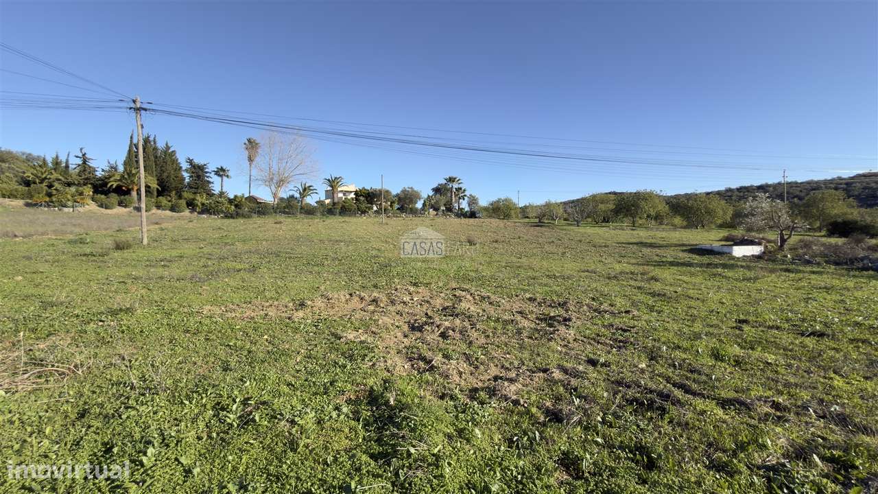 Terreno Rústico  Venda em Santa Bárbara de Nexe,Faro - Grande imagem: 5/9