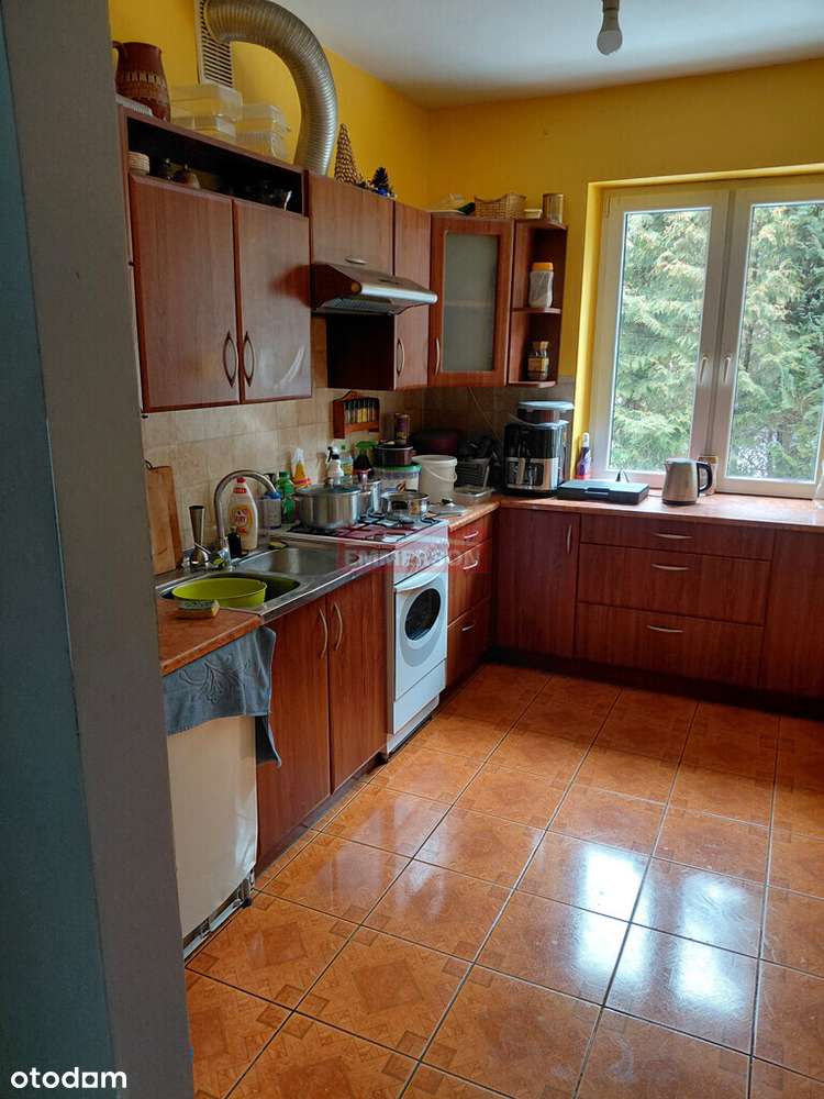 Dom na siedzibę firmy, 48 arów działki-1