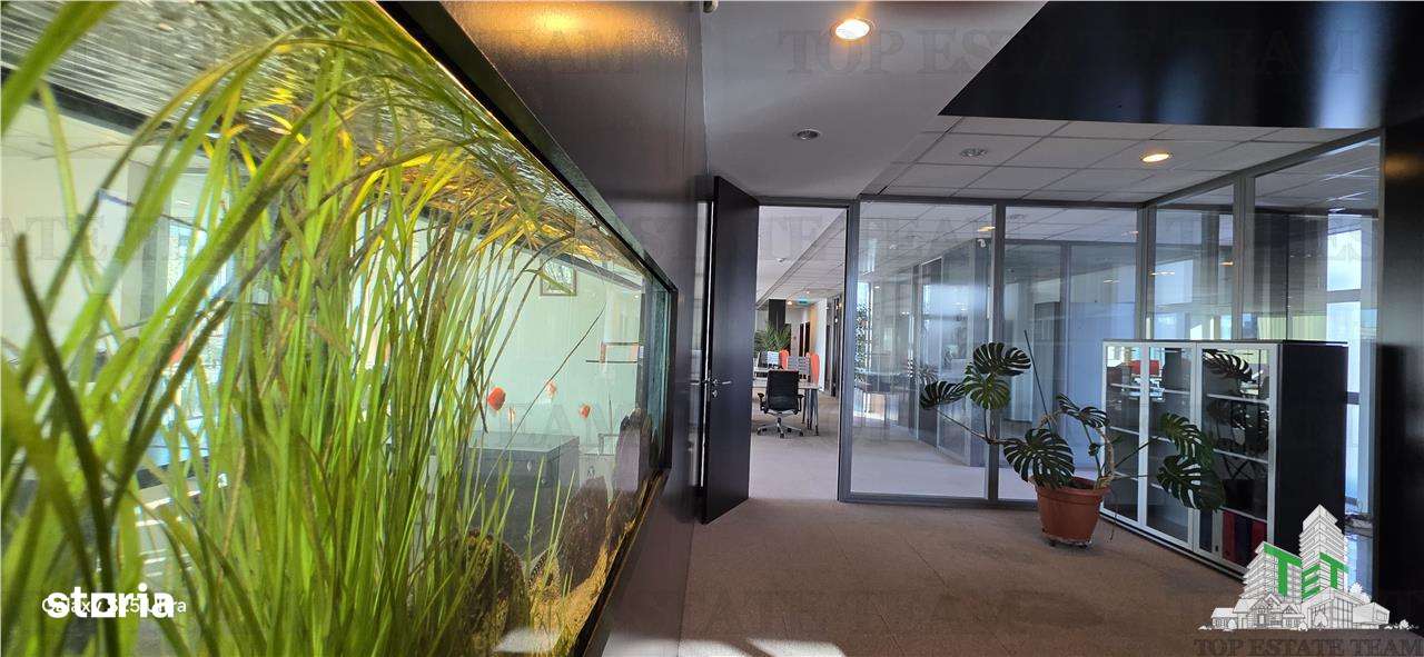 Splaiul Unirii - TImpuri Noi vanzare spatiu birouri  7 locuri de parca-16