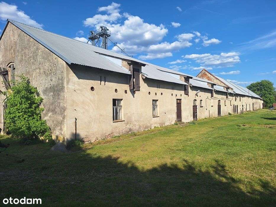 Grunt inwestycyjny rolny ziemia grunt orny budynki magazynowe - Pełny obrazek: 4/8