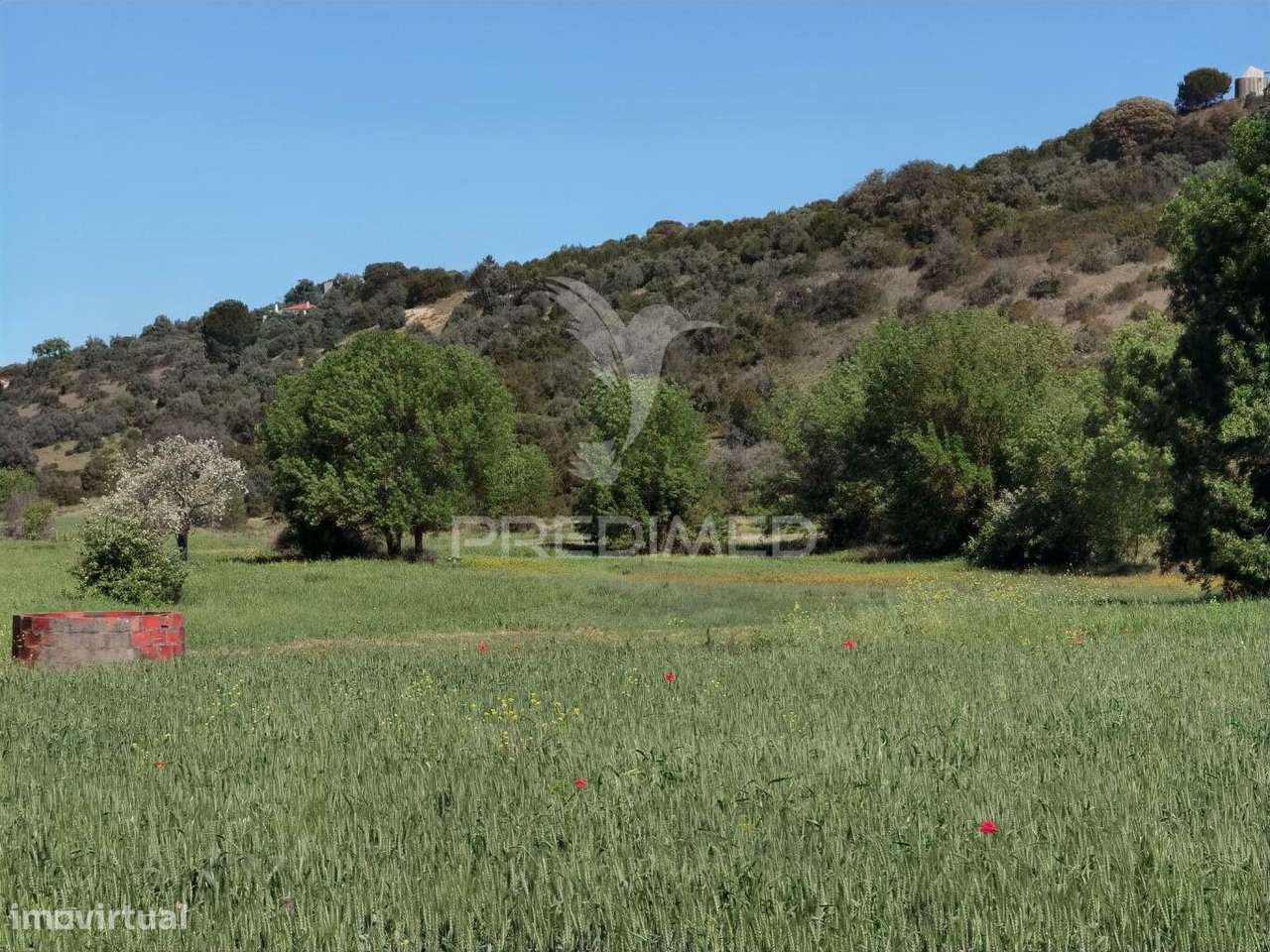 Terreno rústico, Arneiro das Milhariças - Grande imagem: 2/20