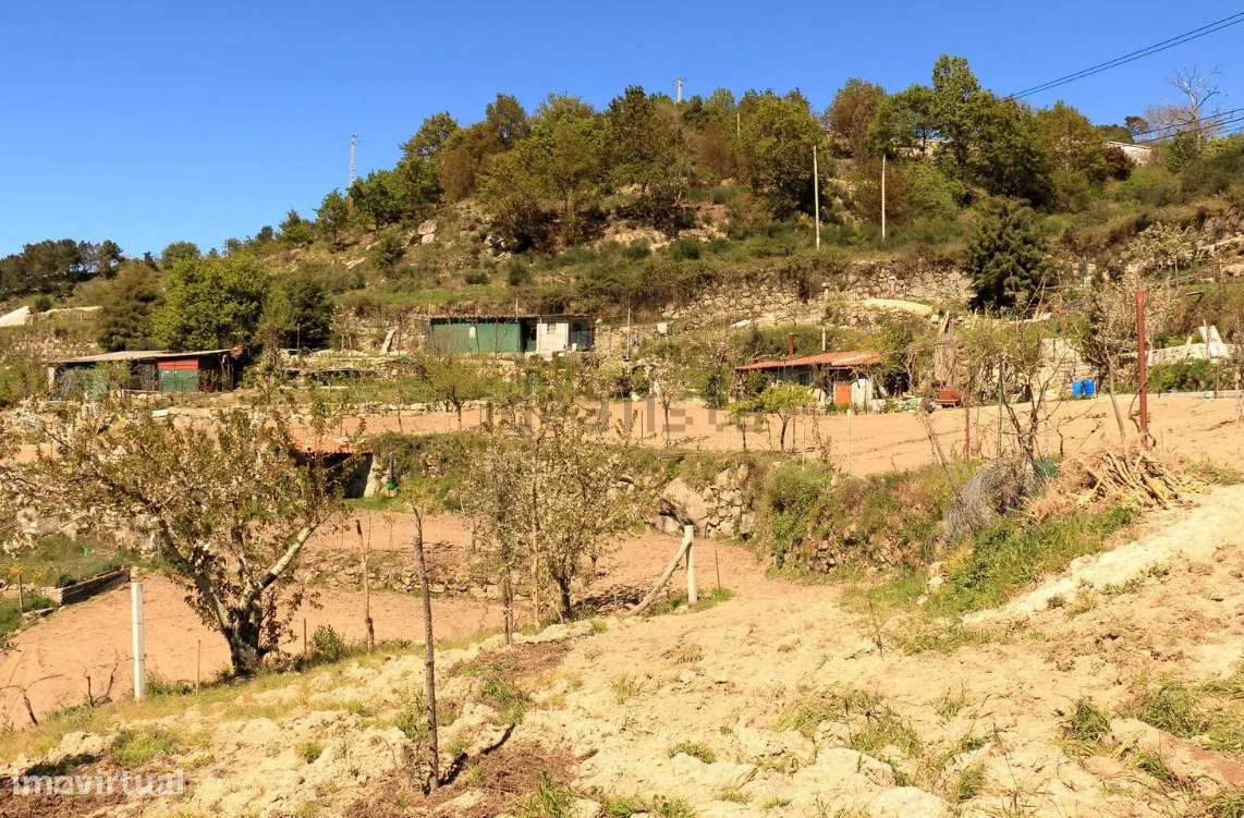 Terreno à venda na Rua do Bairro Nossa Senhora da Estrela, N231 - Grande imagem: 4/8