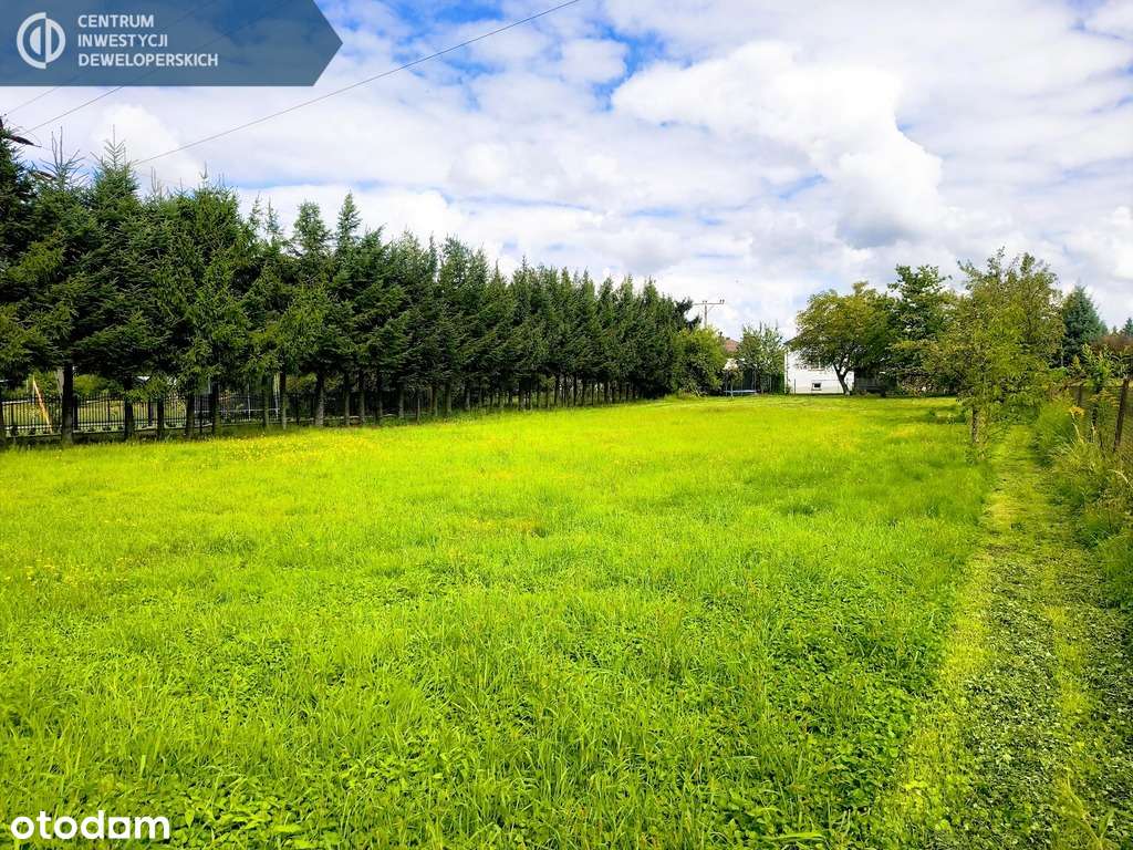 Działka budowlana 8 a w dzielnicy Miłocin - Pełny obrazek: 4/6