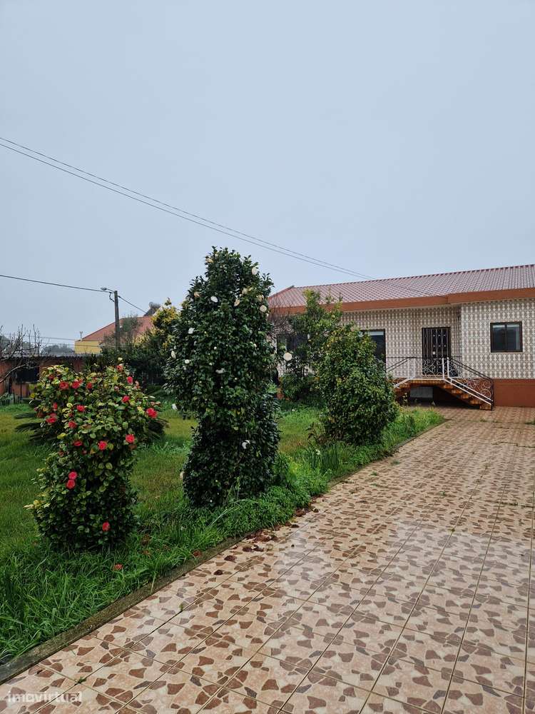 OPORTUNIDADE DE INVESTIMENTO – 2 LOTES URBANOS COM ELEVADO POTENCIAL - Grande imagem: 5/15