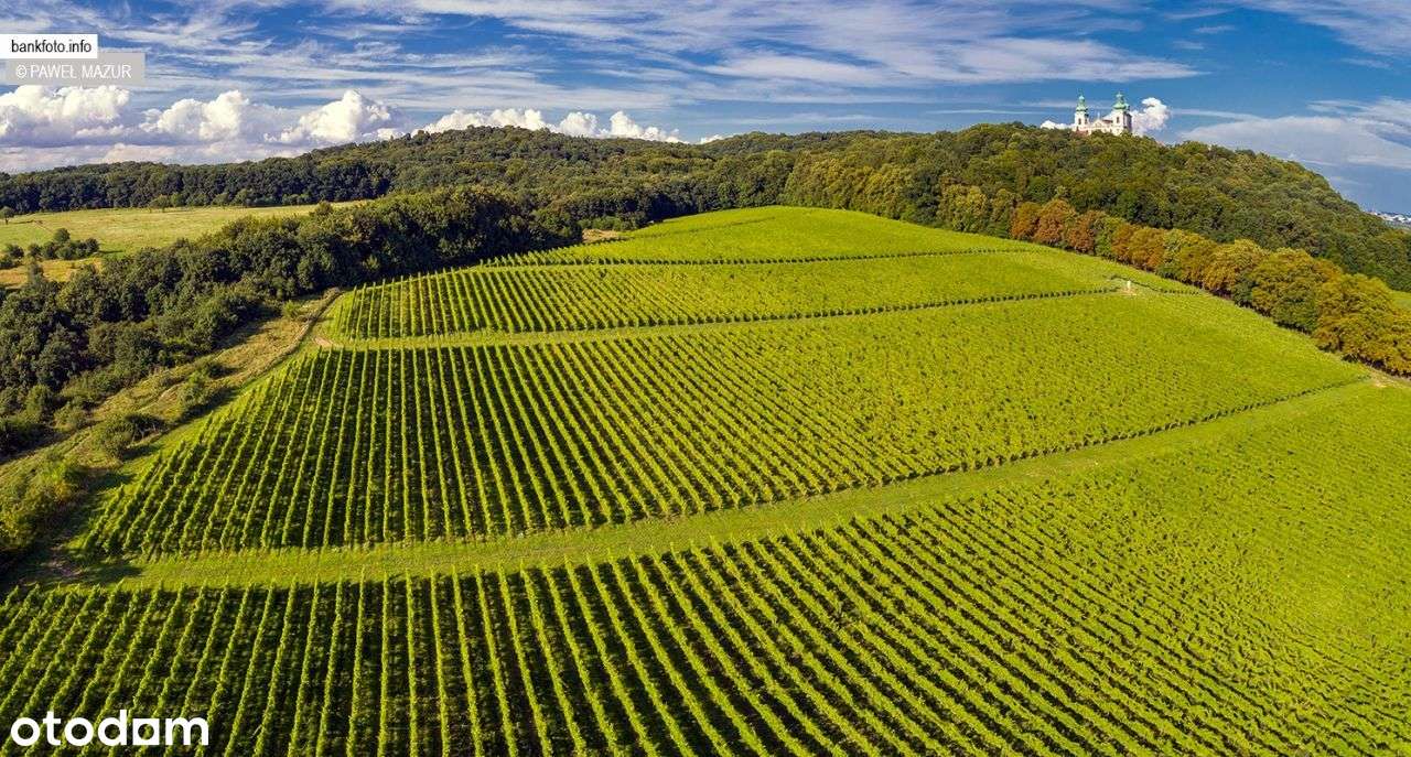 Działka budowlana na Bielanach w Krakowie!-11