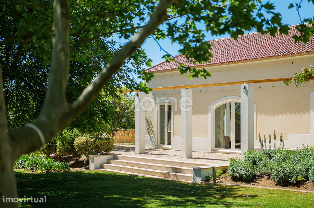 Herdade da Rusga - Grande imagem: 5/60