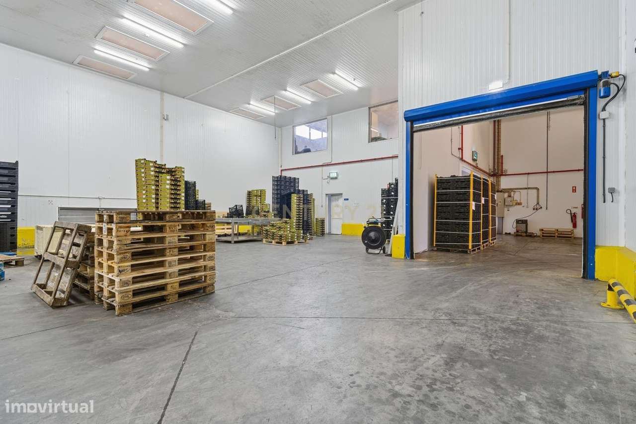 Armazém Industrial junto à Campo Oeste em A-dos-Cunhados-38