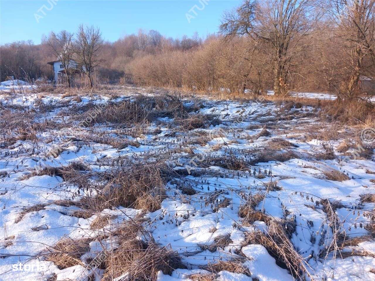 Teren intravilan 2600 mp de vanzare pe Valea Avrigului - Imagine principală: 2/4