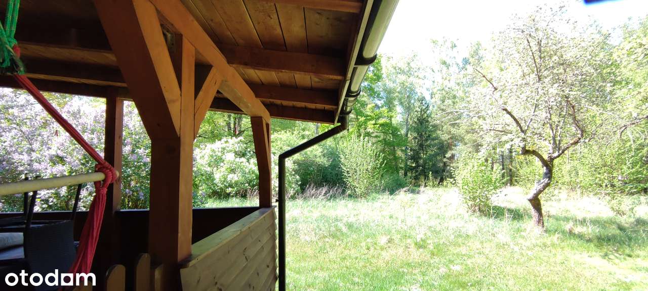 Duża działka z domem_szybki dojazd do W-wy/Łodzi - Pełny obrazek: 4/13