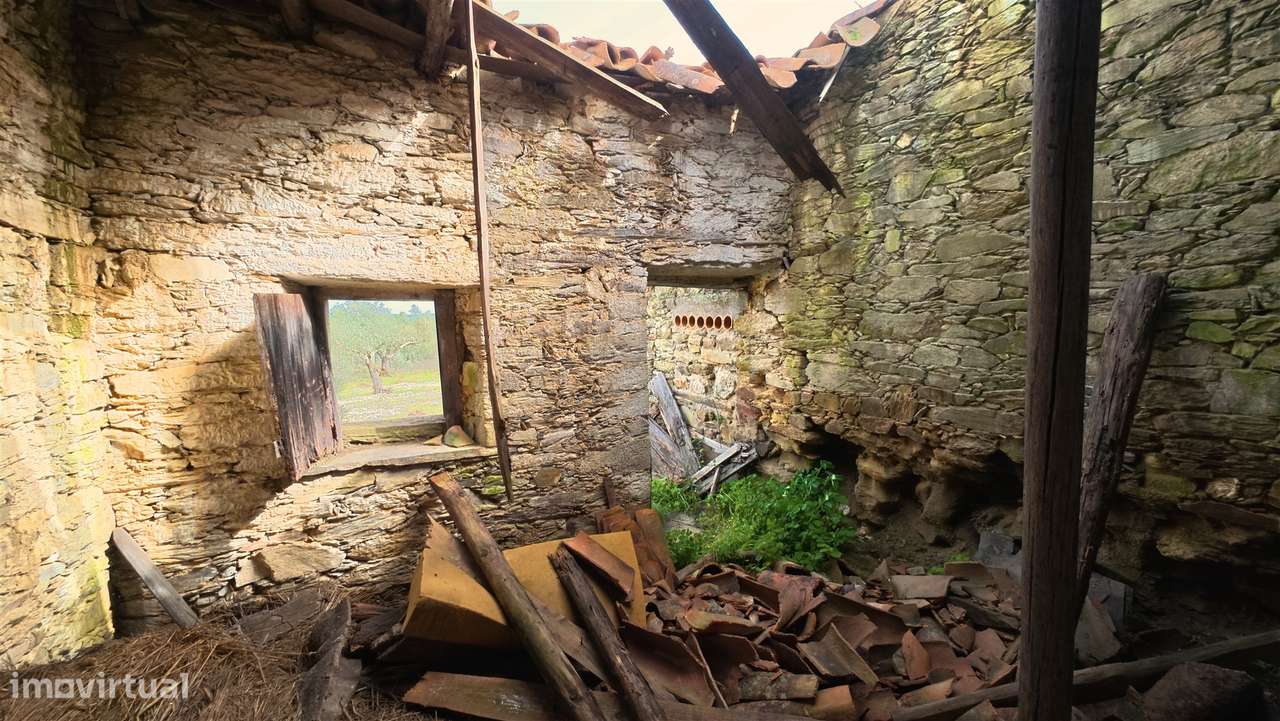 Quinta T0 Venda em Sarzedas,Castelo Branco - Grande imagem: 4/11