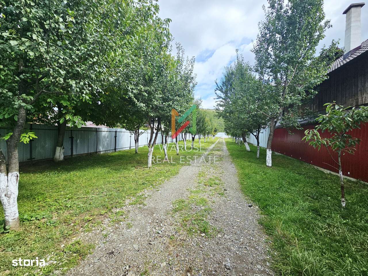 Teren 2000 | Casa | Foisor | Livada | Zizin | Brasov - Imagine principală: 2/20