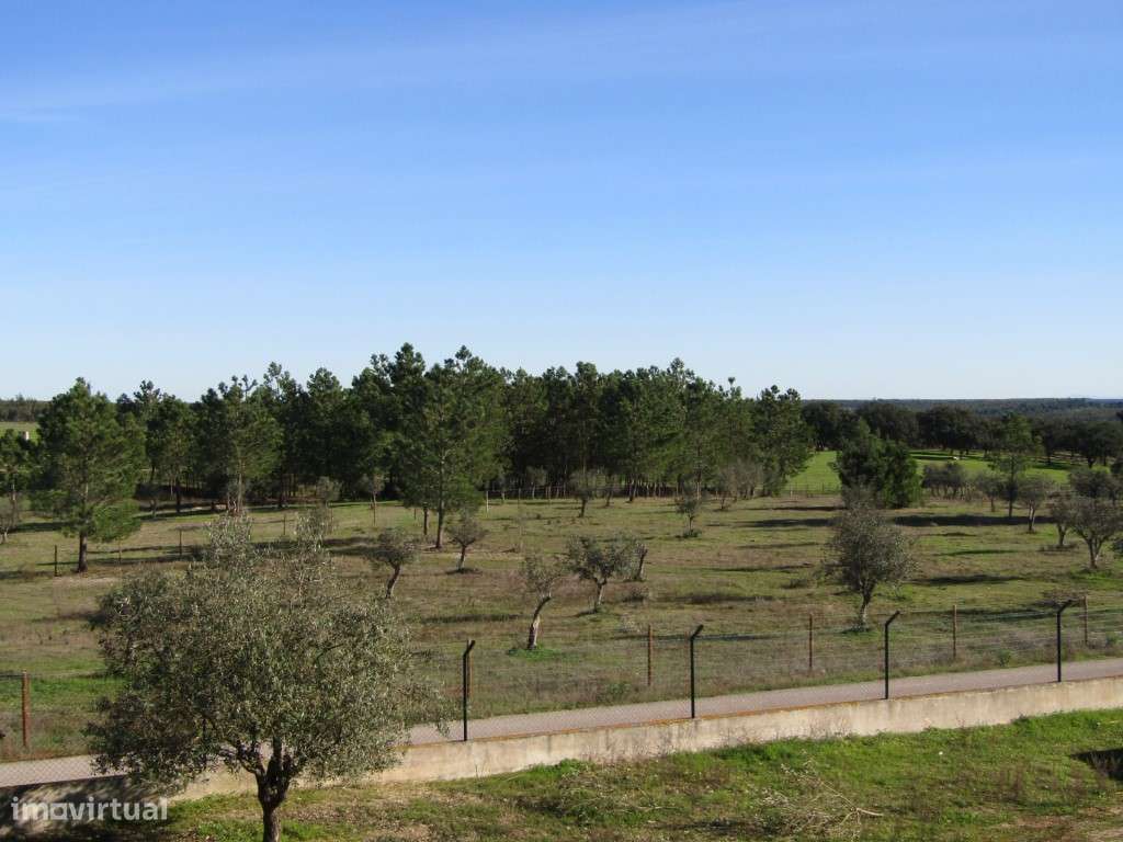 Lote para Construção-9