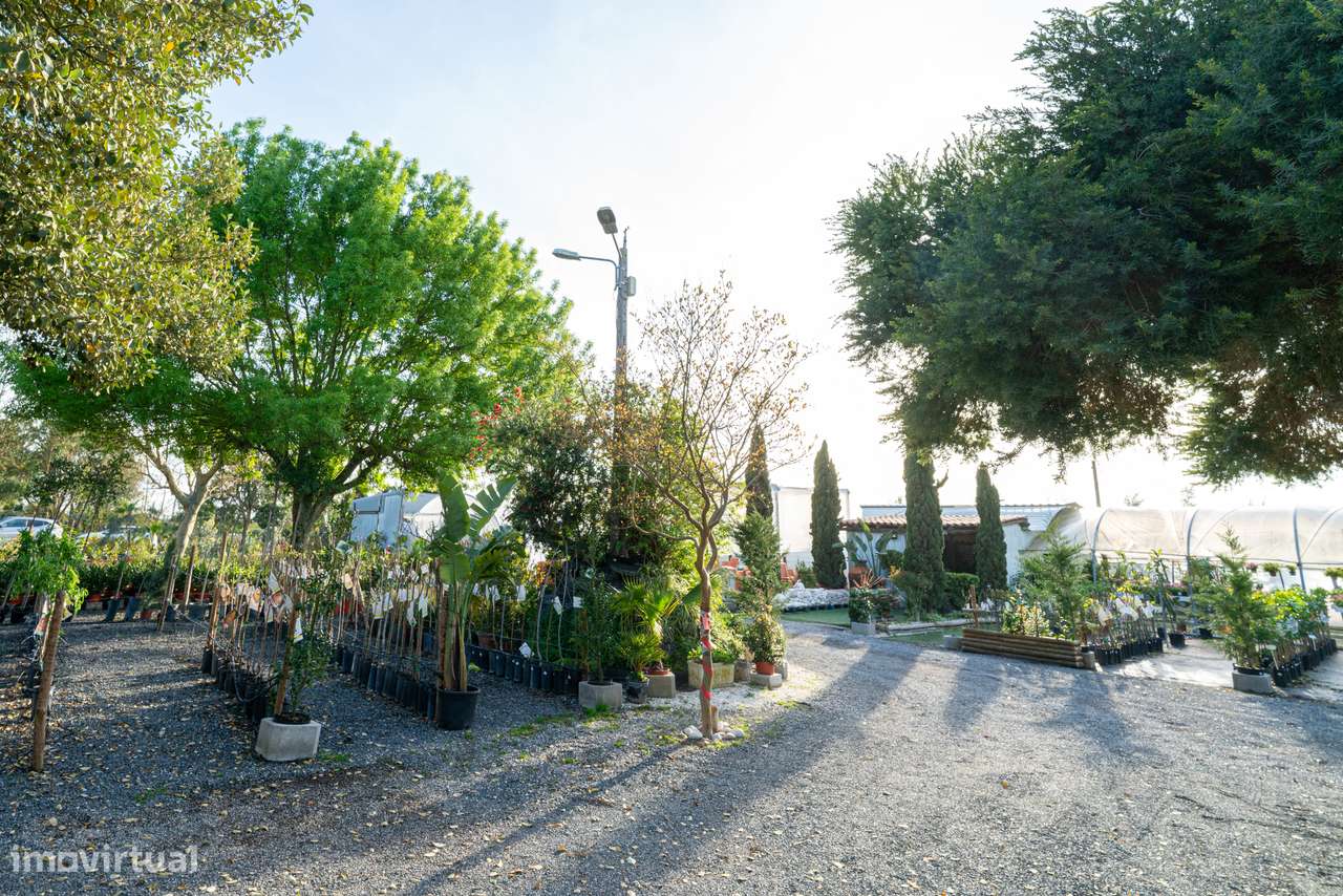 Trespasse de Centro de Jardinagem – Negócio Completo e Equipado - Beja-21