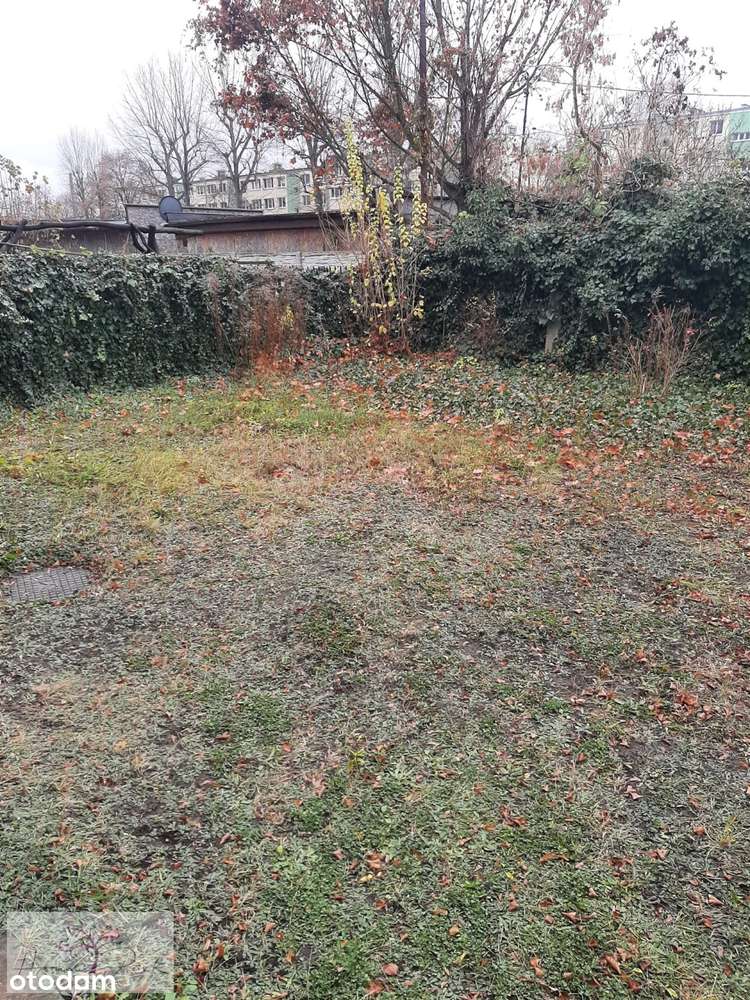 Kamienica w Pabianicach - Pełny obrazek: 3/5