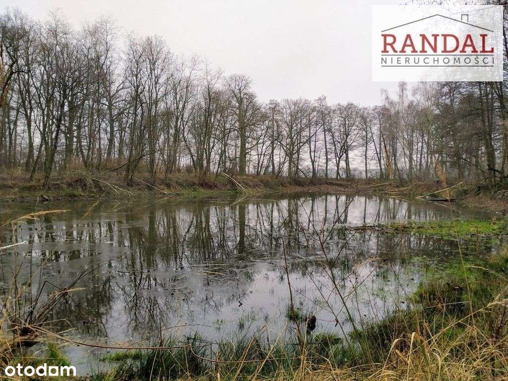 Zespół Pałacowo-parkowy - Pełny obrazek: 5/9