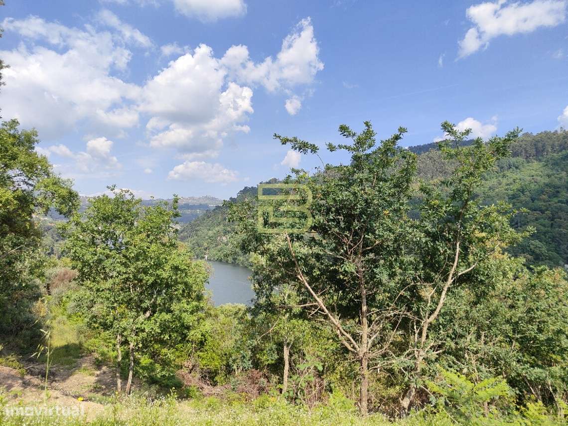 TERRENO MISTO com 28 588m2 com VISTA permanente para o RIO em Paços de - Grande imagem: 5/9