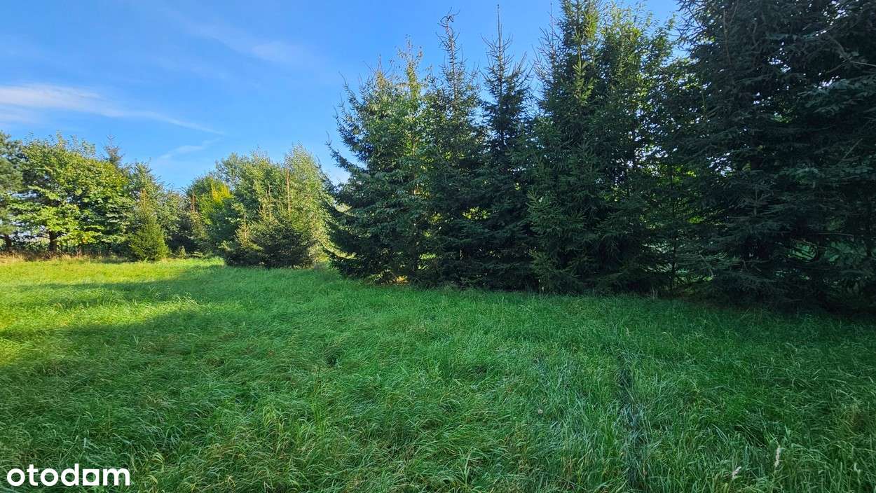 Działka budowlana Kamiennik Wielki, gmina Milejewo-7