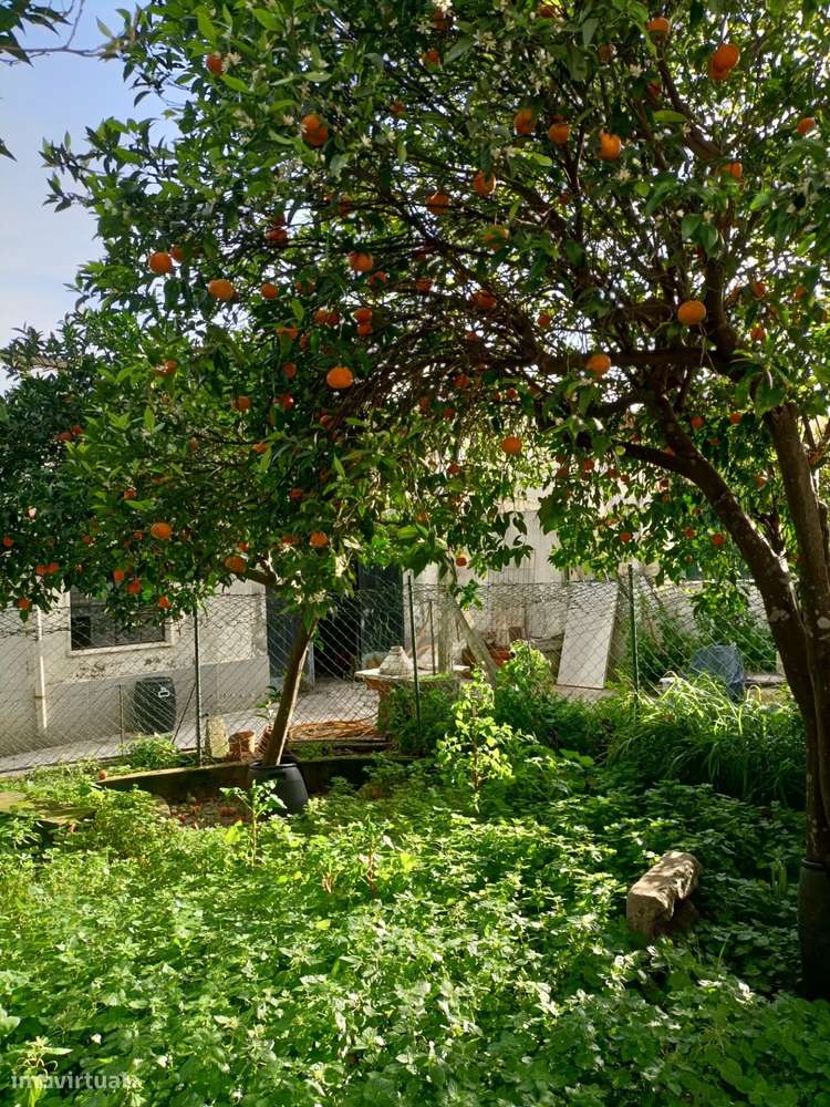 Moradia T3 no Chão Duro, Moita-47