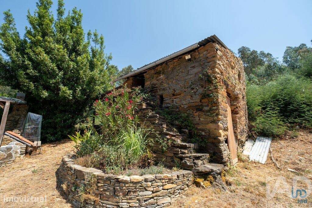 Casa / Villa T2 em Côja e Barril de Alva de 238,00 m2 - Grande imagem: 4/23