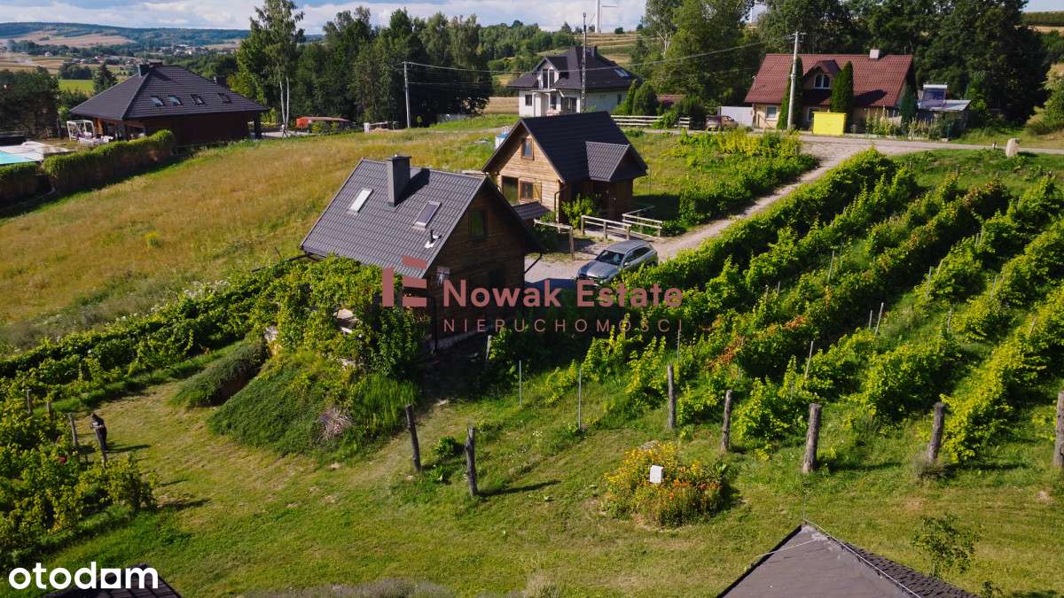 Winnica & Agroturystyka | gotowy biznes-11