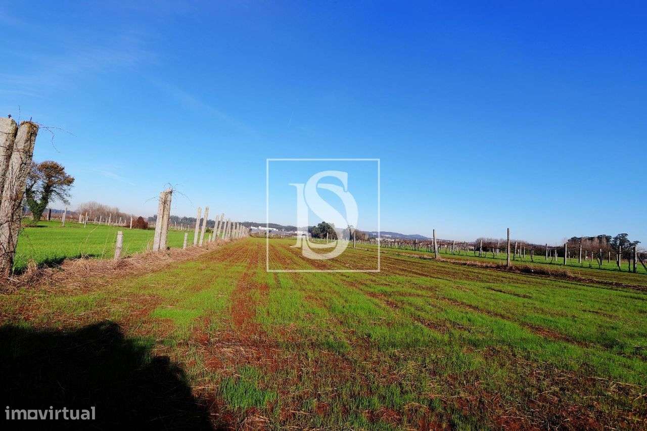 Terreno - Bougado - Trofa - Grande imagem: 4/8