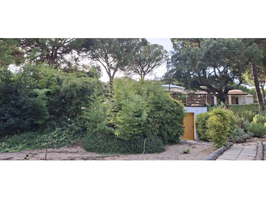 Luxuosa propriedade entre Grândola e Comporta, com 24 hectares-35