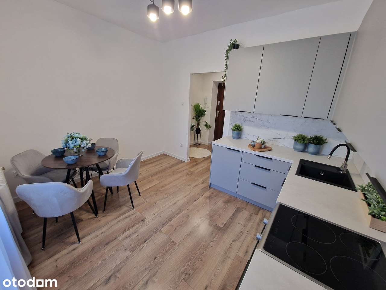 PRZYTULNE 36 m² TUŻ PRZY AKADEMII TARNOWSKIEJ - IDEALNE POD INWESTYCJĘ - Pełny obrazek: 2/14